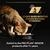 purina_pro_plan_sterilised_wet_cat_food_with_beef_grilled_in_gravy_85g_9